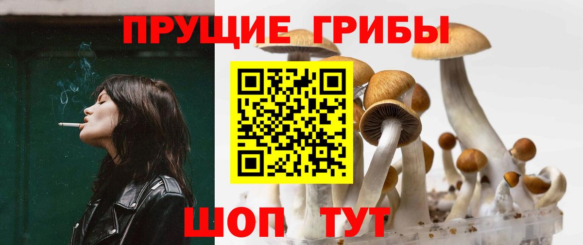купить наркотики цена  Вход с VPN  Кудымкар  Галлюциногенные грибы ЛСД 