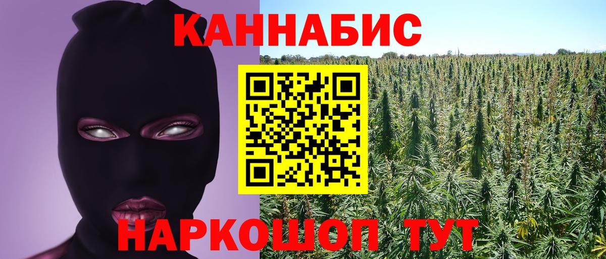 Бошки марихуана White Widow  Вход с VPN  Марихуана Ganja  Кудымкар  Канабис White Widow  Каннабис White Widow 